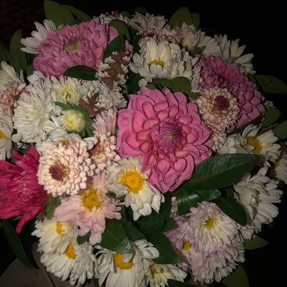 Meet your Posher, Lana - Picture 1 of 1